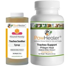 Trachea Soother Syrup Bundle with Trachea Support: Phlegm Heat - Natural Herb...