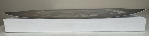 The Way is in Training - Matthew S Little (2022 PB Book) LN Cond. - Picture 5 of 13