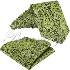 Floral Paisley Design Neck tie and Pocket Square Hankie Set Formal Party Wedding