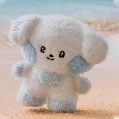 1pc.13/17cm.Kpop ZB1 Doll Filling PPCotton Soft Plush Toy ZEROBASEONE Fans Gift - Picture 18 of 42