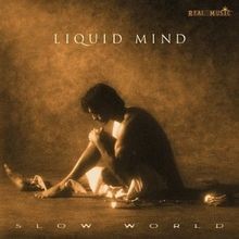 Vol.2-Slow World von Liquid Mind | CD | Zustand sehr gut