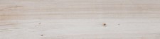 Ackland AKNPTGAR8X36M-PL Gardenpark - 8" x 36" Porcelain Wood - Chiffon Ash