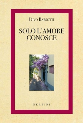 Divo Barsotti Solo l'amore conosce (Paperback)