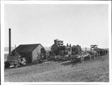 Mule Team And Loaded Ore Wagons At Stamp Mill Mojave Desert 1900  - Old Photo