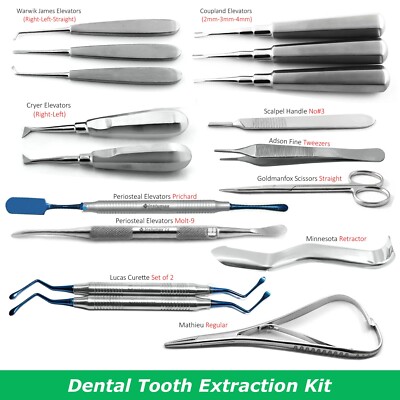 17Pcs Periodontal Tooth Extraction Elevators Kit Dental Oral Surgery Instruments