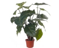 KüNstliche Purpurtute Syngonium Mit 20 BläTter, HöHe Von 45Cm Von Ibizanos
