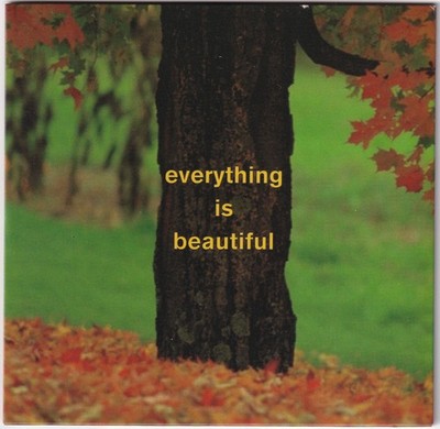 Everything Is Beautiful CD 1998 Promo
