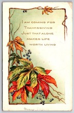Coming For Thanksgiving Vines Berries Whitney Made Embossed DB Postcard XD1