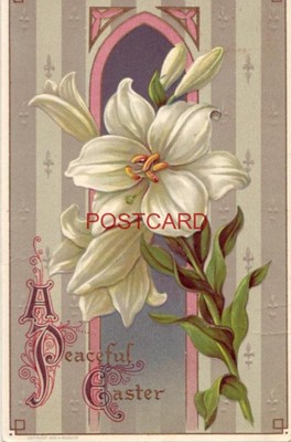1913 A PEACEFUL EASTER - embossed lily flower
