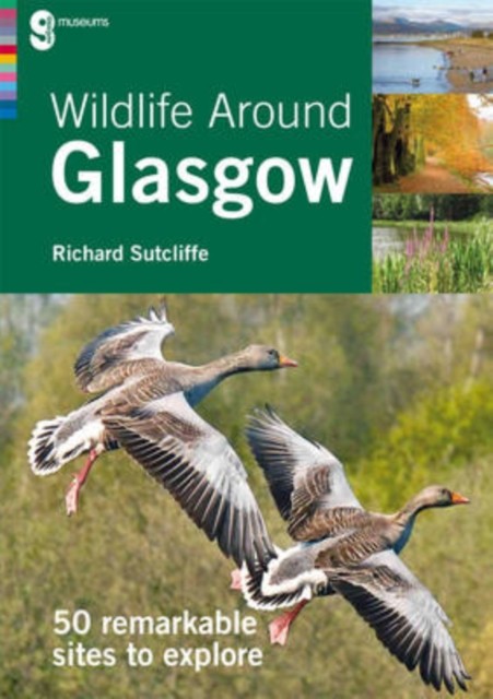 Wildlife Around Glasgow by Richard Sutcliffe (Paperback Book)