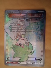 The Pokémon Company Wally 107/108 Roaring Skies Uncommon Reverse Holo ENG on eBay