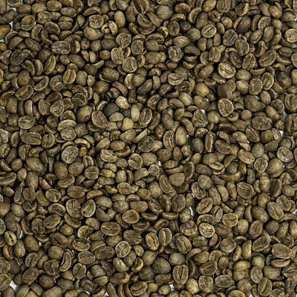 Decaf COLOMBIA SINGLE ORIGIN NOT ROASTED GREEN Coffee Beans 