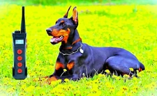 Aetertek 1000M Remote Waterproof Rechargeable Shock Collar w/Auto Anti bark