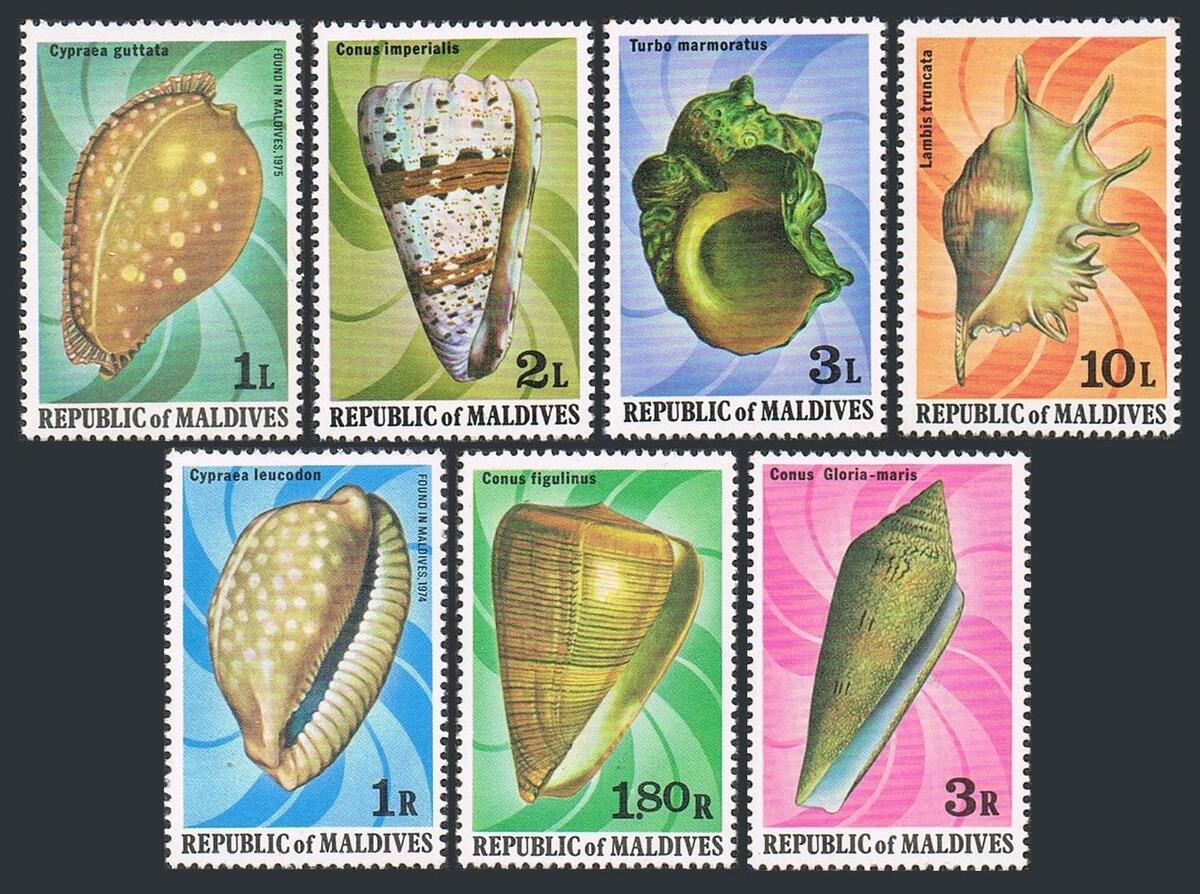 Maldives 786-792,793, MNH. Michel 808-814, Bl.55. Sea Shells Maldives 786-792,793, MNH. Michel 808-814, Bl.55. Sea Shells