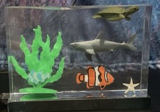 SHARK NIGHT LIGHT FOR KIDS