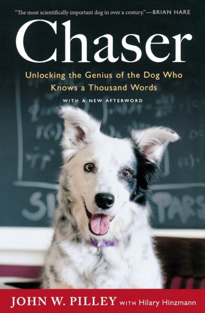 Chaser by Hilary Hinzmann (Paperback Book)