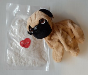 pugsley teddy