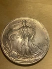 2003 Walking Liberty 1 oz Silver Dollar Tune Color BU Coin In Capsule