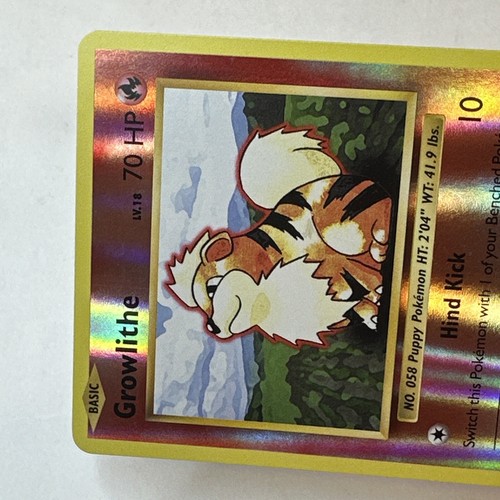 Growlithe Pokemon TCG XY Evolutions Reverse Holo Common 17/108 - Picture 3 of 4