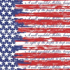 US Flag Second Amendment 23 - 18"x46" Hydrographic Film Hydro Dipping