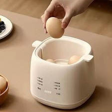 Rapid Electric Egg Cooker UK Adapter Smart Egg Cooker for Hotel Office Dorm
