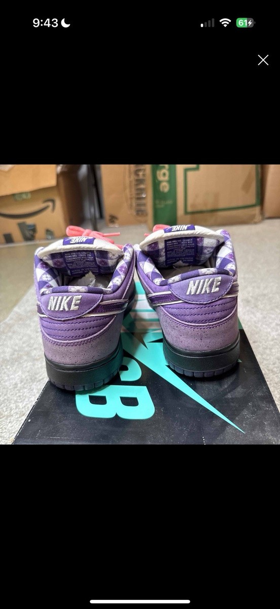 Concepts Nike SB Dunk Low Purple Lobster BV1310-555 US 7.5