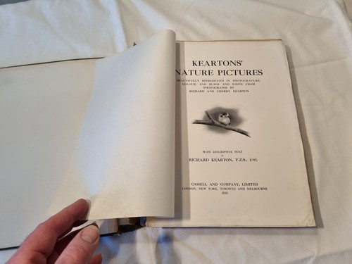 Keaton's Nature Pictures with text by Keaton Pub 1910 1st Edit Cassell & Co Ltd - Imagen 5 de 13