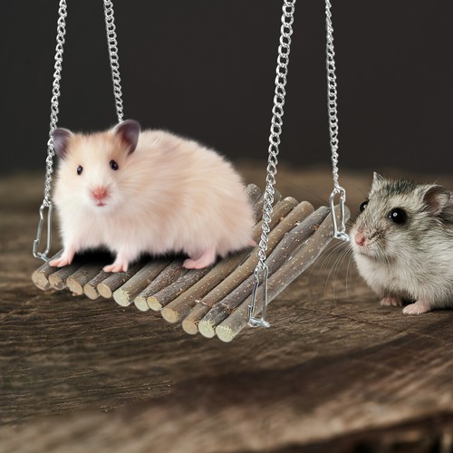 1 Set Bearded Dragon Climbing Ladder Hammock Pet Snake Toy Hanging Reptile - Picture 5 of 12