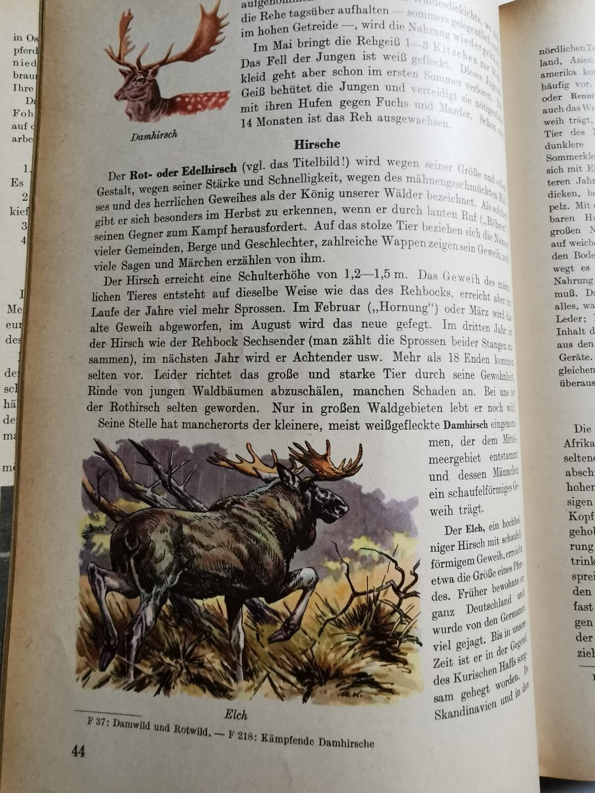 Bild 6 von 7