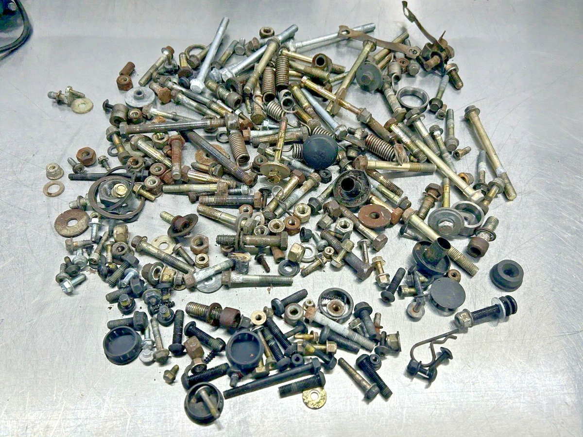 1999 2000 2001 2002 2003 SKI DOO ZX CHASSIS NUT BOLT HARDWARE