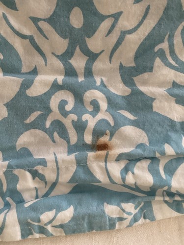 Pottery Barn PB TEEN Turquoise Fleur De Lis Design Queen Duvet Cover 2 Shams - Picture 7 of 8