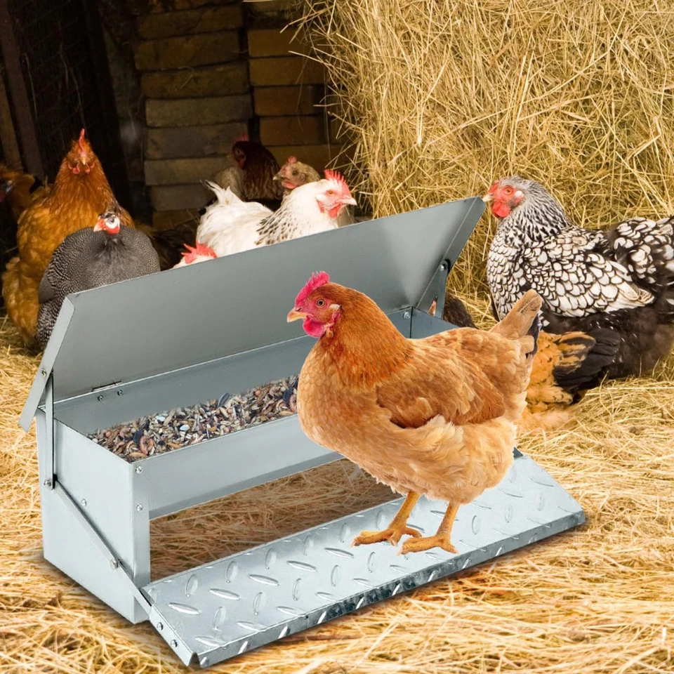 Futterautomat Automatische Geflügel-Futterspender Hühnerfutterautomat-Wasserfest - Bild 2 von 4