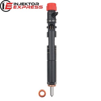 EJBR02101Z Delphi Injektor Dacia Renault Clio Kangoo Logan 1.5 dCi 28232242