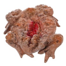  Vassoio Di Rospi Horror Addobbi+halloween House Decor Oggetti Scena Spaventosi