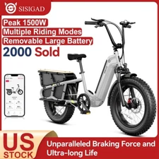 Fast Cargo Electric Bike for Adults 1500W Peak 20" Commute Electric Bicycle US