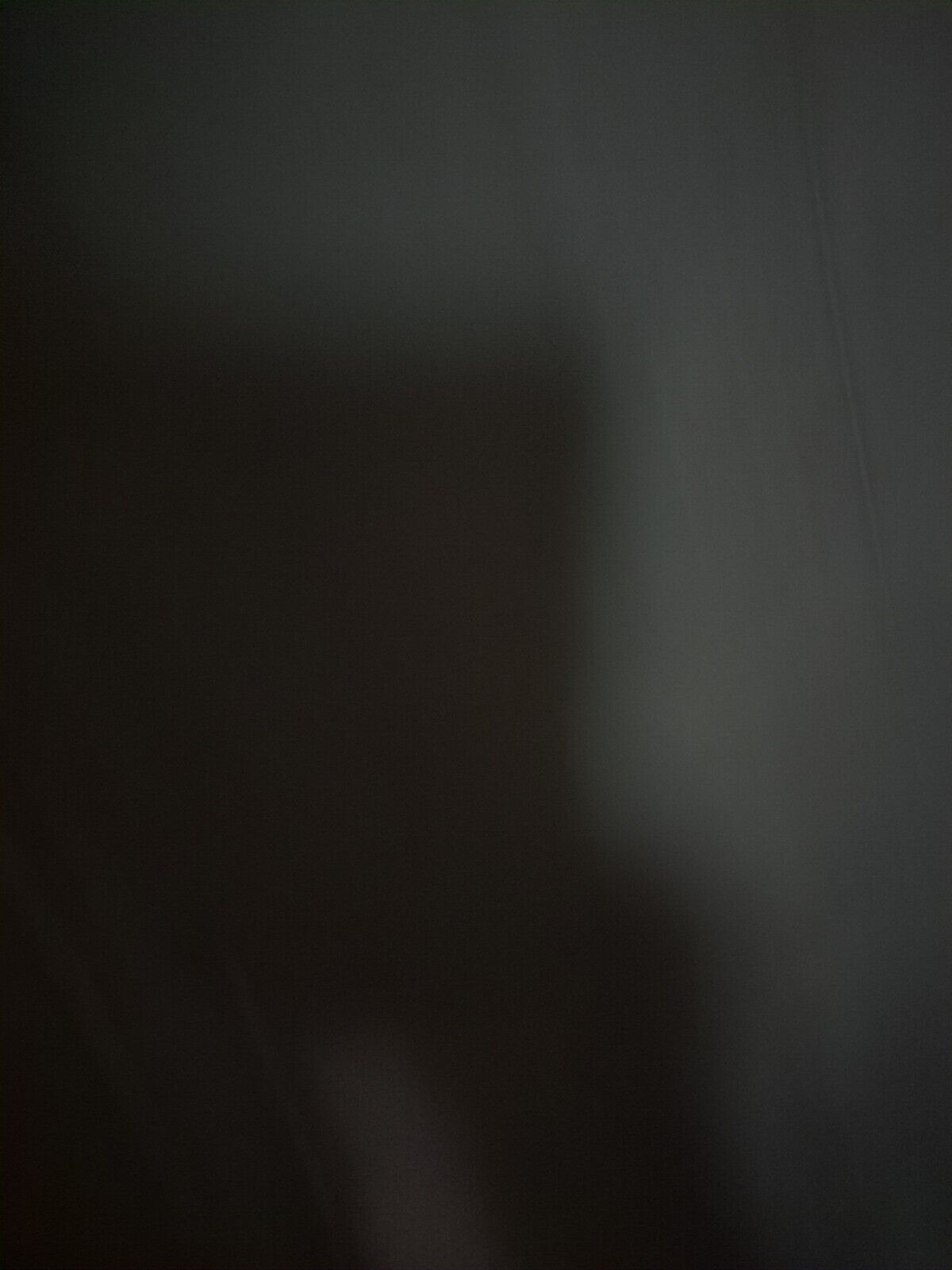 Picture 7 of 14