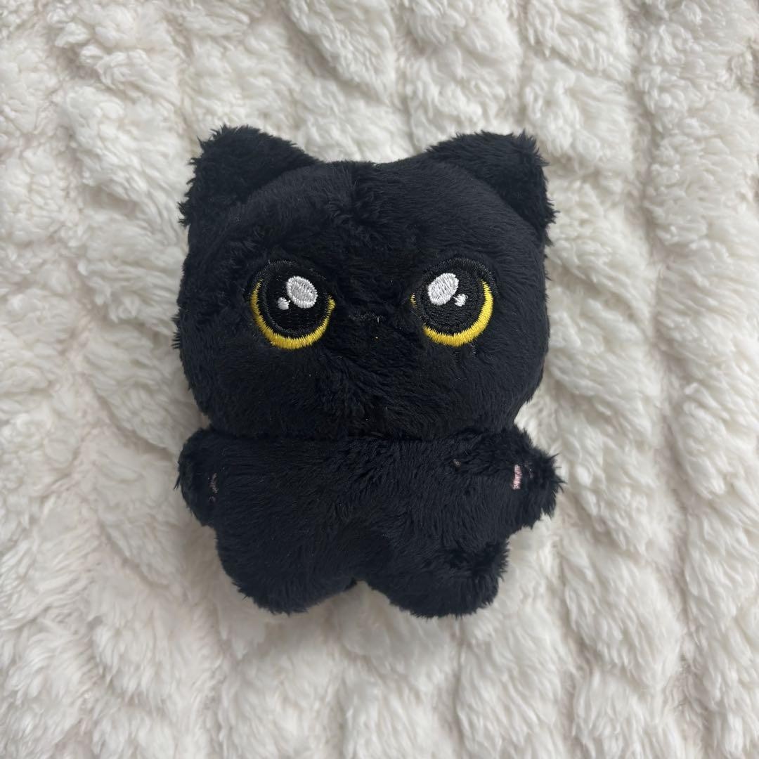 Muñeca ENHYPEN J Master 10 cm