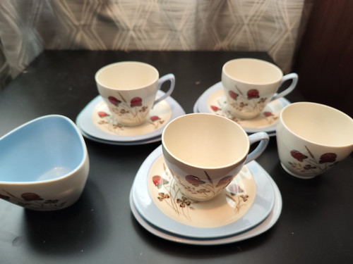 Copeland Spode Summer days 3 Trios Cup And Sugar Bowl 11 Piece Set - Picture 1 of 9