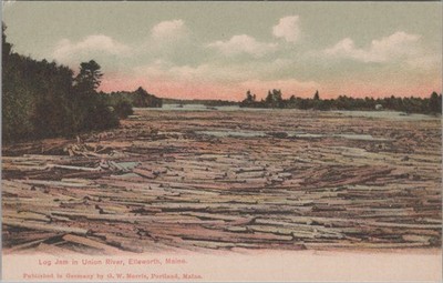 Log Jam In Union River Ellsworth Maine ME Morris German Printing Postcard