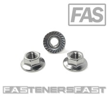 (25) 3/8-16 Stainless Steel Large OD Serrated Flange Nuts (.910 Large OD Flange)