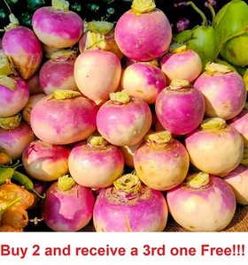 tobacco seeds ebay Cigarette Tobacco Seeds