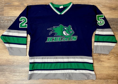 Vintage CCM Worcester Ice Cats Hockey Jersey Large AHL