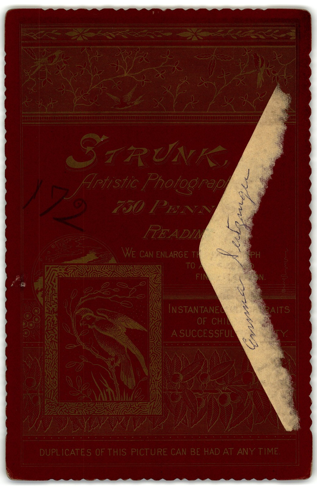 Picture 2