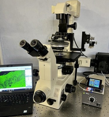 Nikon Diaphot 300  HMC LED Inverted Microscope Fluorescence Ph CAM + Guarantee