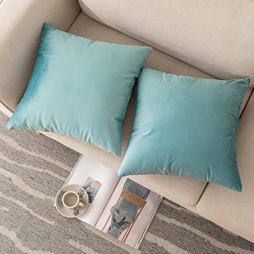 Decorative Throw Pillow Covers Pack of 2, Velvet Cushion Case for Couch - Picture 4 of 8