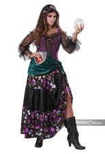 California Costumes Mystical Charmer Gypsy Fortune Adult Halloween Costume 01108