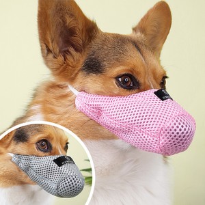 small muzzle