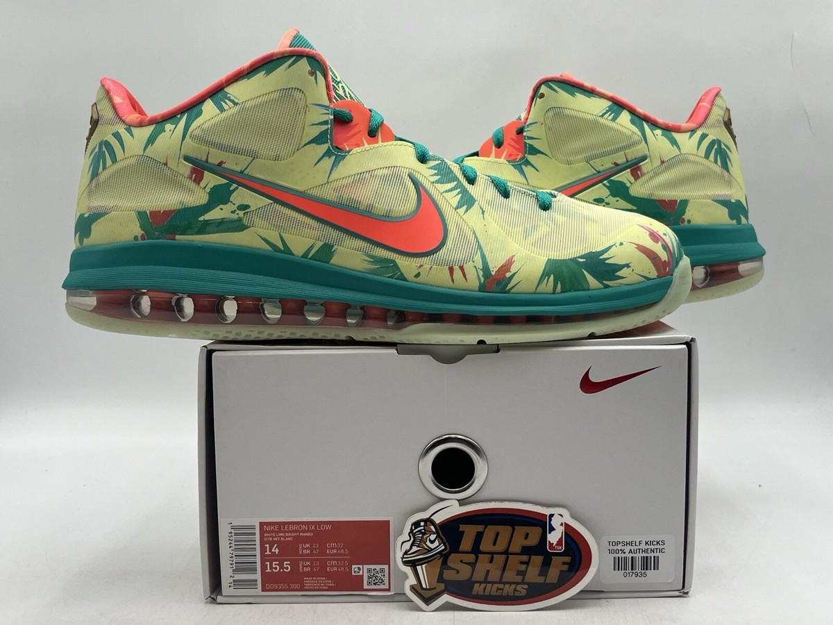 nike lebron 9 low