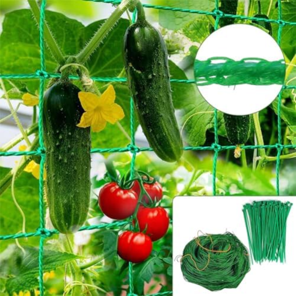 Rete per piante rampicanti, 2,5 x 2 m, traliccio per cetrioli, traliccio per cet