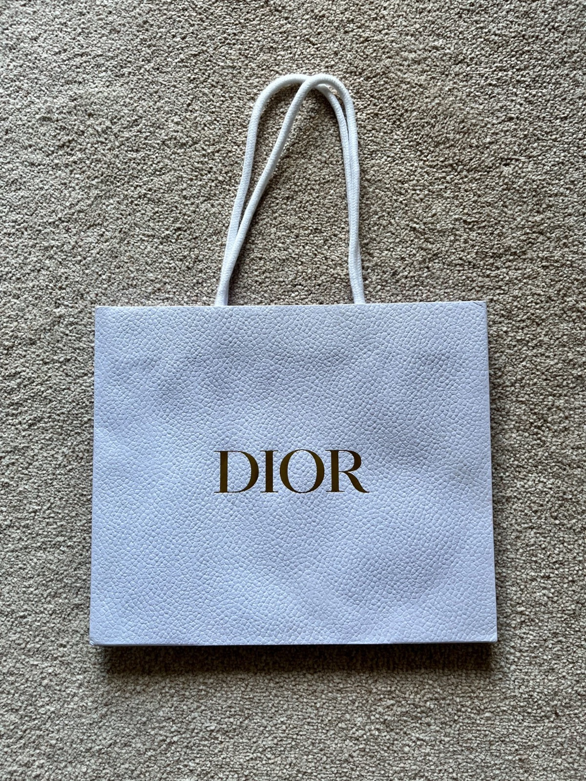 Petit sac de transport Dior